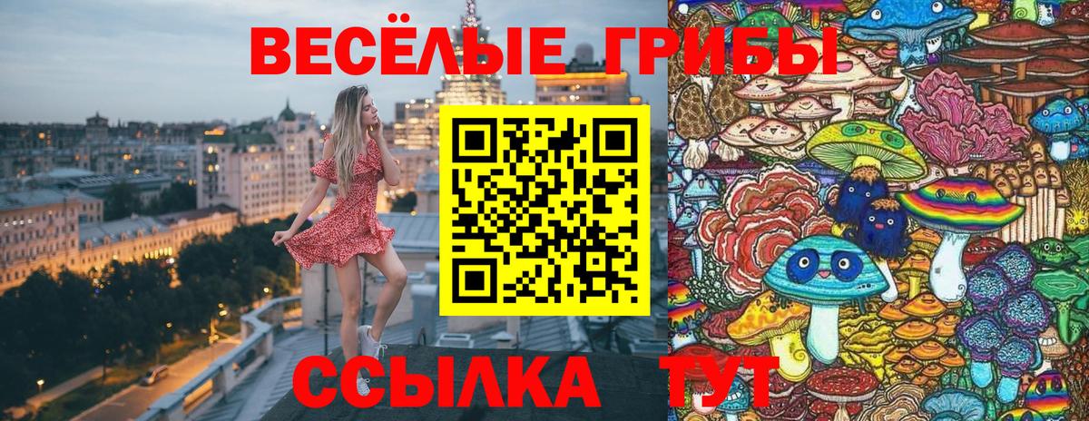 Галлюциногенные грибы GOLDEN TEACHER  Галлюциногенные грибы мицелий  Новошахтинск  Вход с VPN 